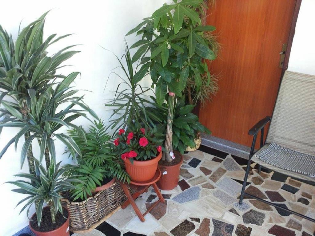 Apartments Blago 수토모레 외부 사진