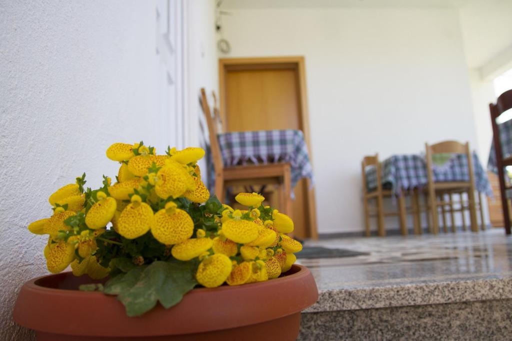 Apartments Blago 수토모레 외부 사진