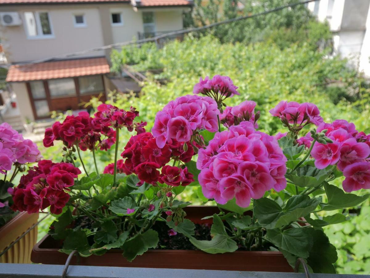 Apartments Blago 수토모레 외부 사진